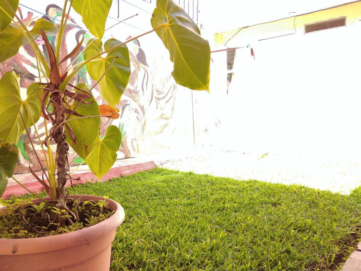 Homestay Casa Kitus San Jose (San Jose)